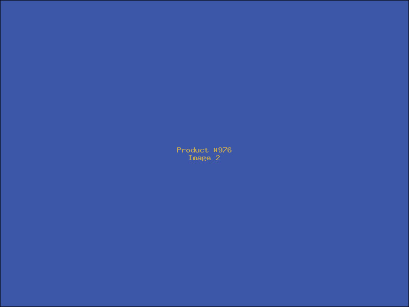 Example Product 976 - Image 2