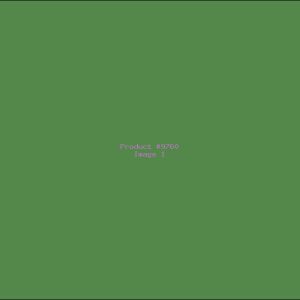 Example Product 9760
