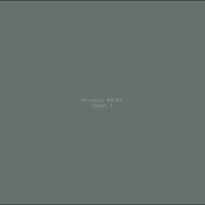 Example Product 9763