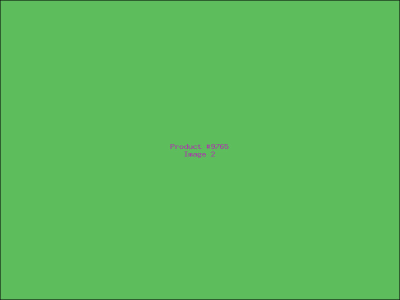Example Product 9765 - Image 2