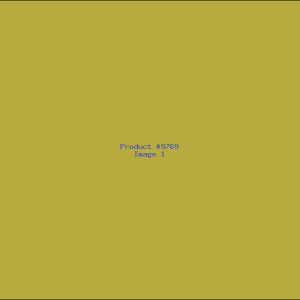 Example Product 9769
