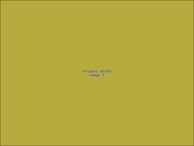 Example Product 9769