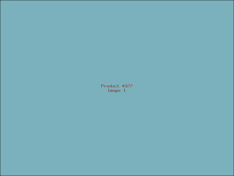 Example Product 977