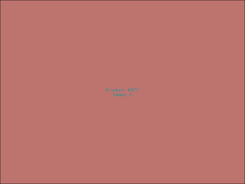 Example Product 977 - Image 2