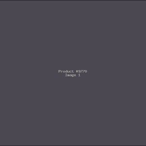 Example Product 9770