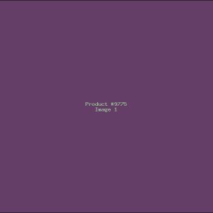 Example Product 9775