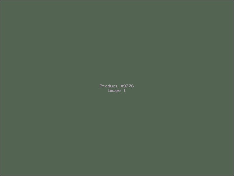 Example Product 9776
