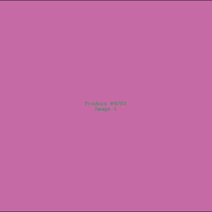 Example Product 9783
