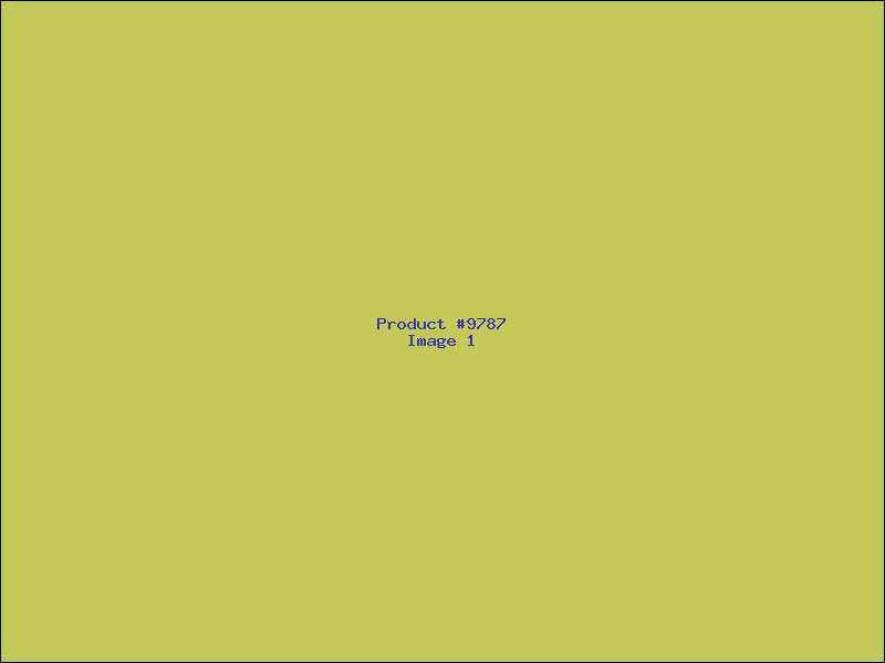 Example Product 9787