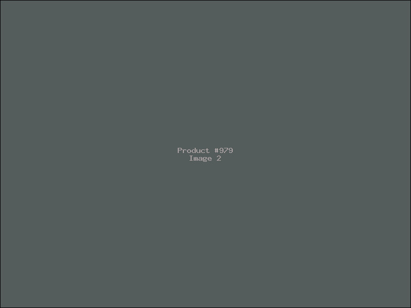 Example Product 979 - Image 2