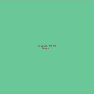 Example Product 9790