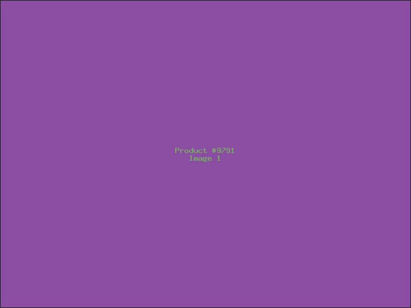 Example Product 9791