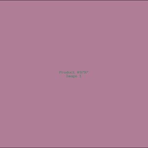 Example Product 9797