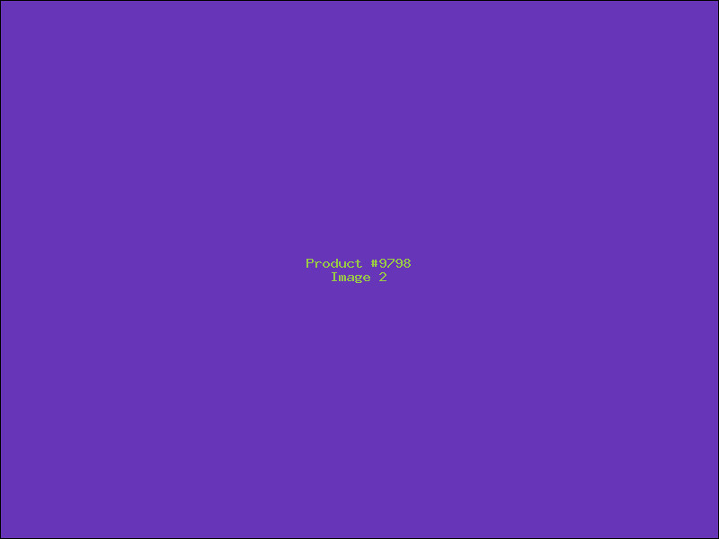 Example Product 9798 - Image 2