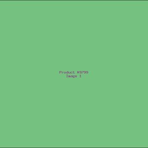 Example Product 9799