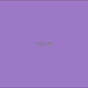 Example Product 9802