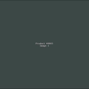 Example Product 9803