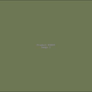 Example Product 9804