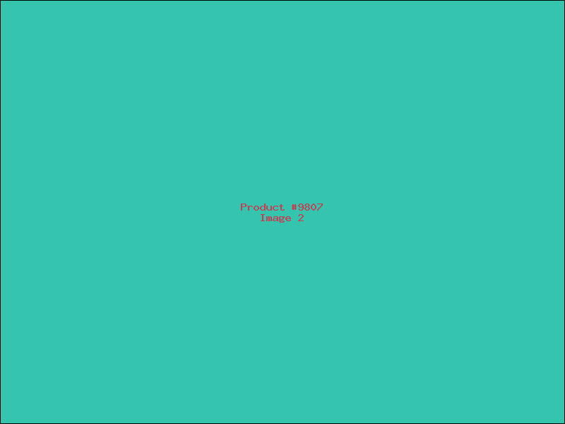 Example Product 9807 - Image 2