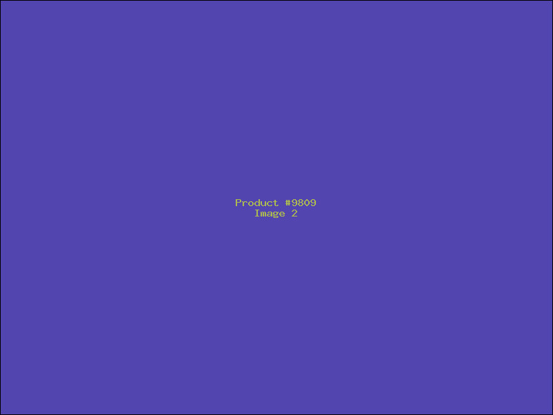 Example Product 9809 - Image 2