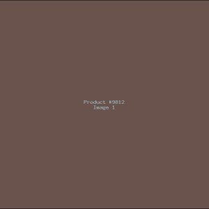 Example Product 9812