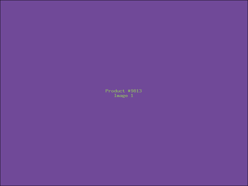 Example Product 9813