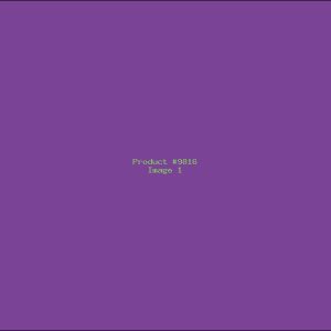 Example Product 9816