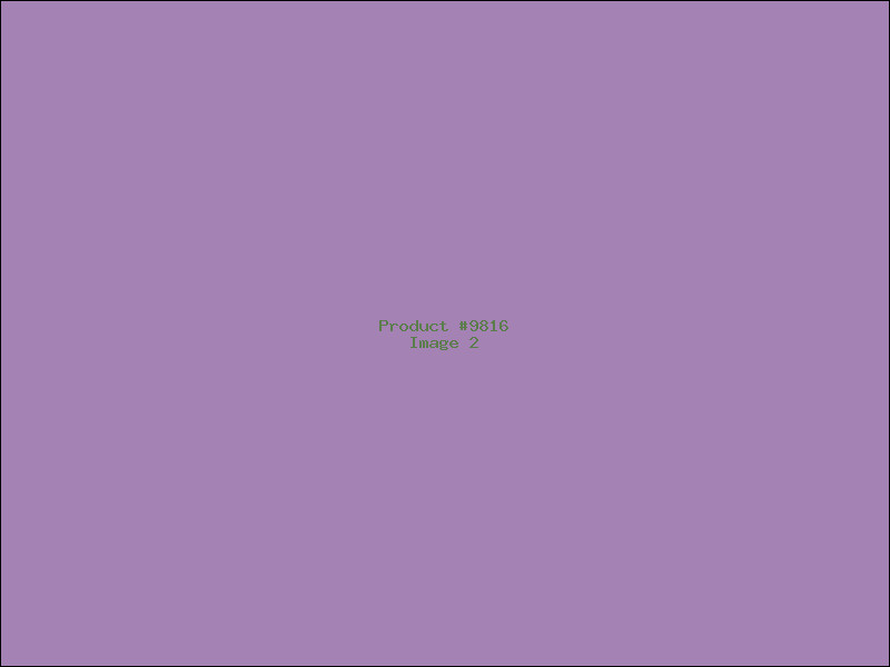 Example Product 9816 - Image 2