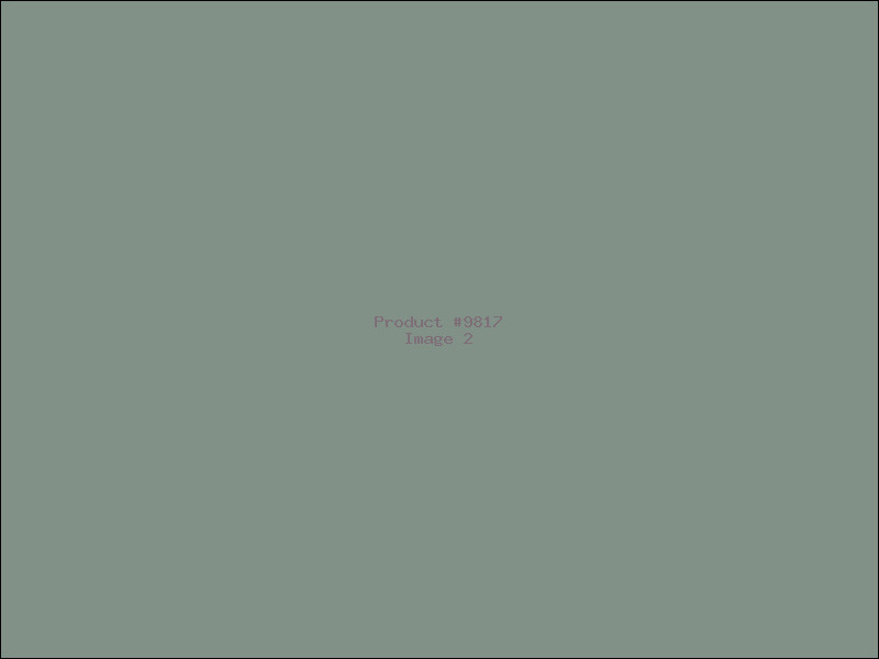 Example Product 9817 - Image 2