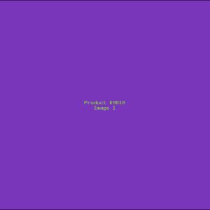 Example Product 9818