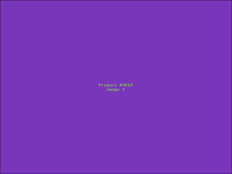 Example Product 9818