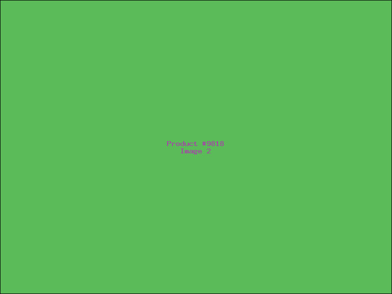 Example Product 9818 - Image 2