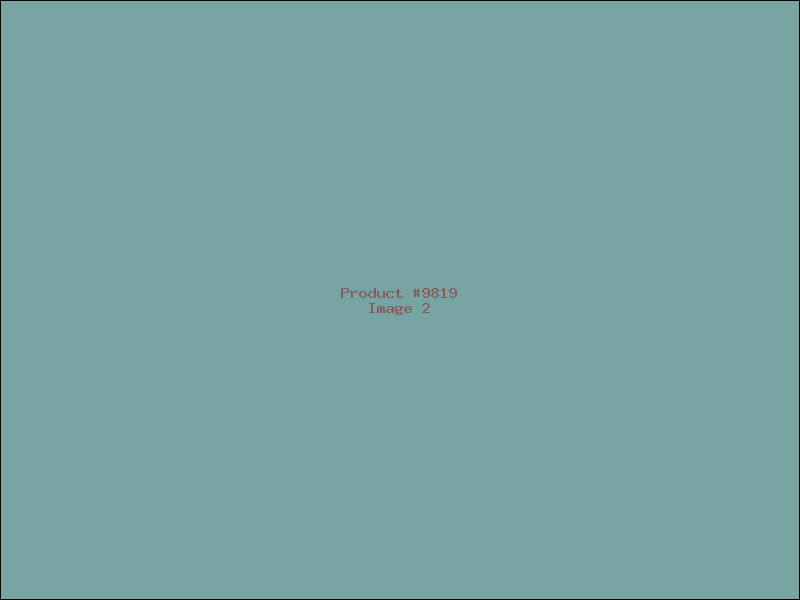 Example Product 9819 - Image 2