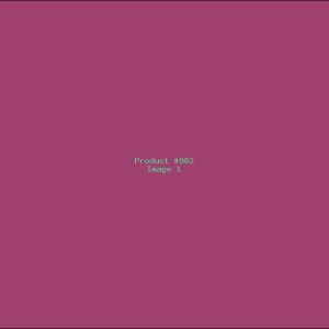 Example Product 982