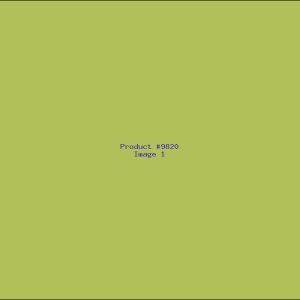 Example Product 9820