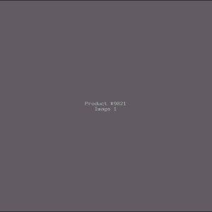 Example Product 9821