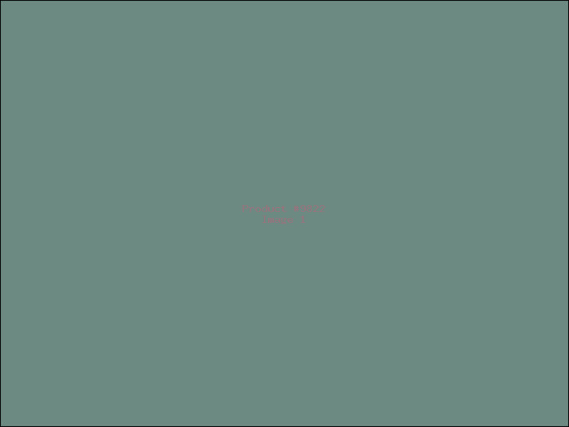 Example Product 9822