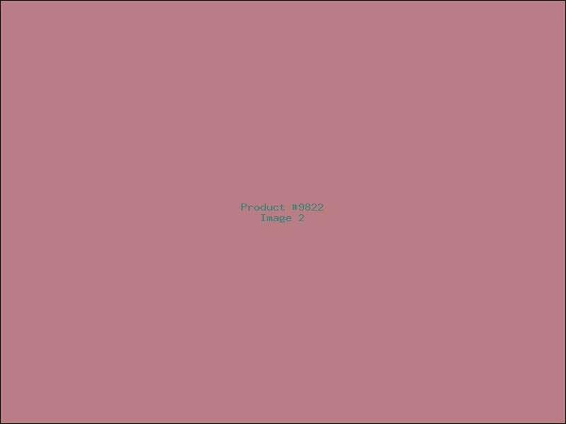 Example Product 9822 - Image 2