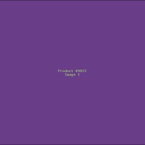 Example Product 9823