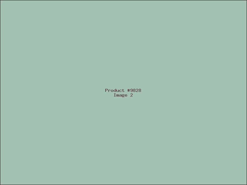 Example Product 9828 - Image 2