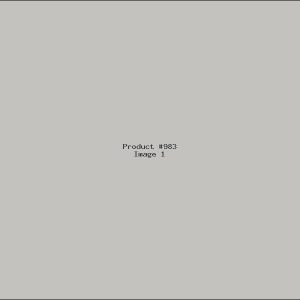 Example Product 983
