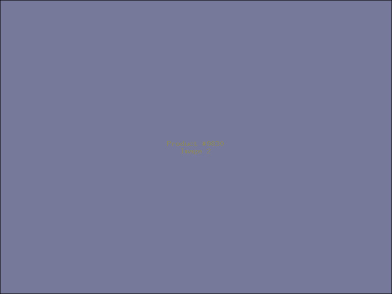 Example Product 9830 - Image 2