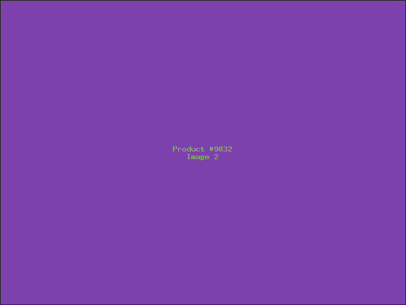 Example Product 9832 - Image 2