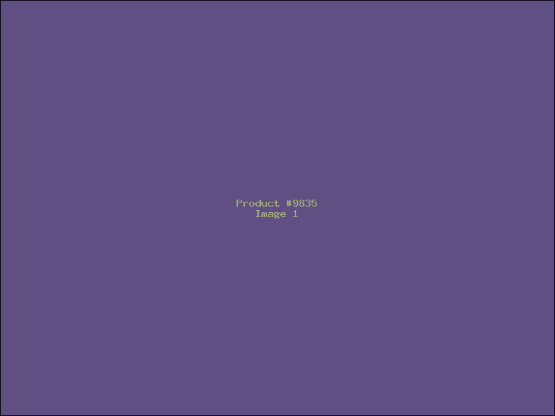 Example Product 9835