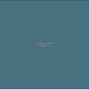 Example Product 9838