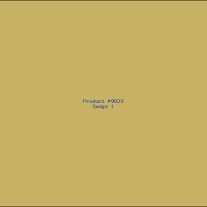 Example Product 9839