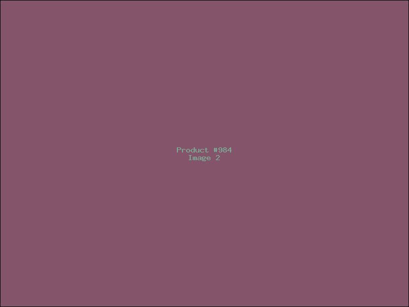 Example Product 984 - Image 2
