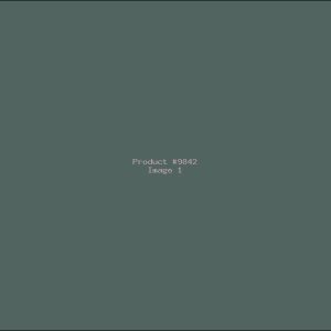 Example Product 9842