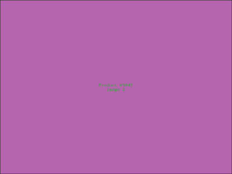 Example Product 9843 - Image 2