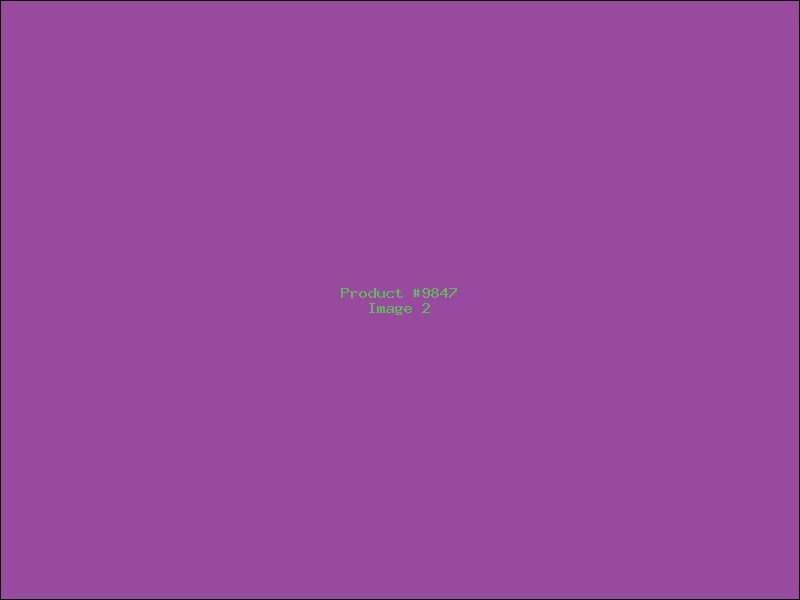Example Product 9847 - Image 2